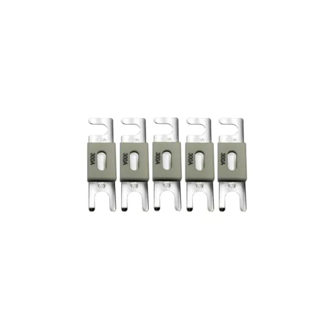 Victron ANL-Fuse 300A/80V f/48V Products (Package of 5) - CIP143300020