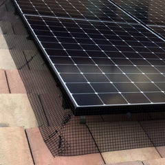 Solar PV Bird Protection