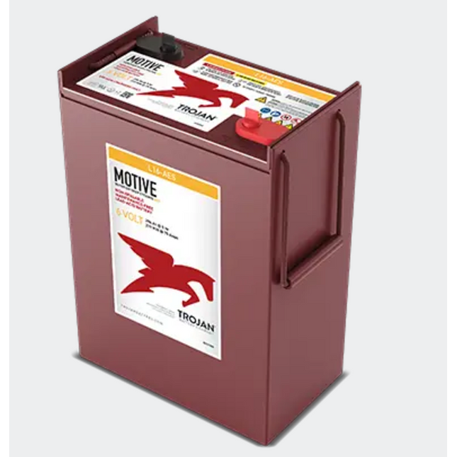 L16-AES 6V AGM Battery