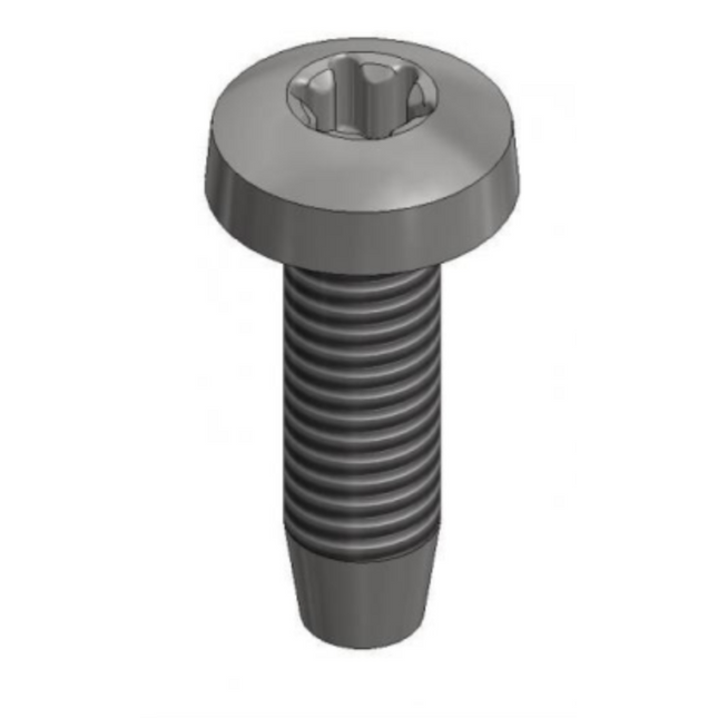 VDV SS Thread-forming Bolt M6x20mm - T30