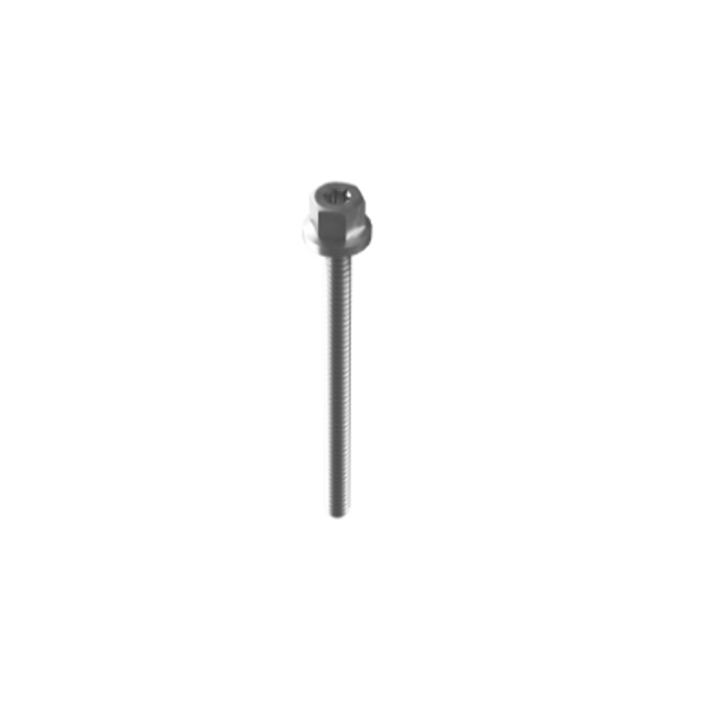 Esdec Mounting Screw M6 x 55 mm