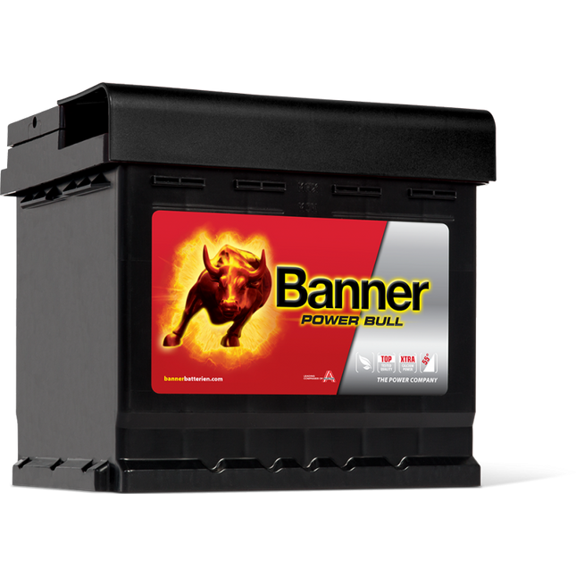 Banner (P5003) Power Bull Car Battery 12v 50Ah 450A (012, 079)-Powerland