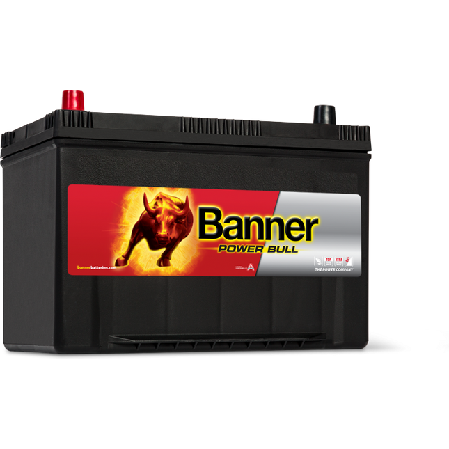 Banner (P9505) Power Bull Car Battery 12v 95Ah 740A (250 / 334)-Powerland