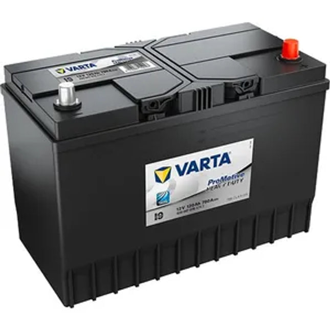 LED95 Varta Professional Dual Purpose EFB Leisure Battery 95Ah (930095085)
