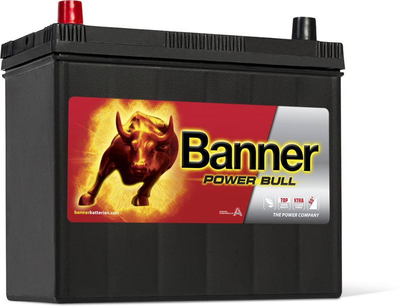 Banner Power Bull P4524 12v 45AH 390A B24G