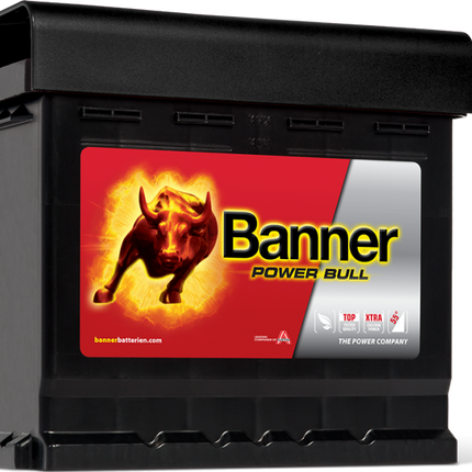 Banner (P5003) Power Bull Car Battery 12v 50Ah 450A (012, 079)-Powerland