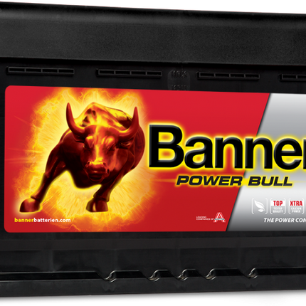 Banner (P7412) Power Bull Car Battery 12v 74Ah 680A (096)-Powerland