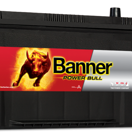 Banner (P9505) Power Bull Car Battery 12v 95Ah 740A (250 / 334)-Powerland